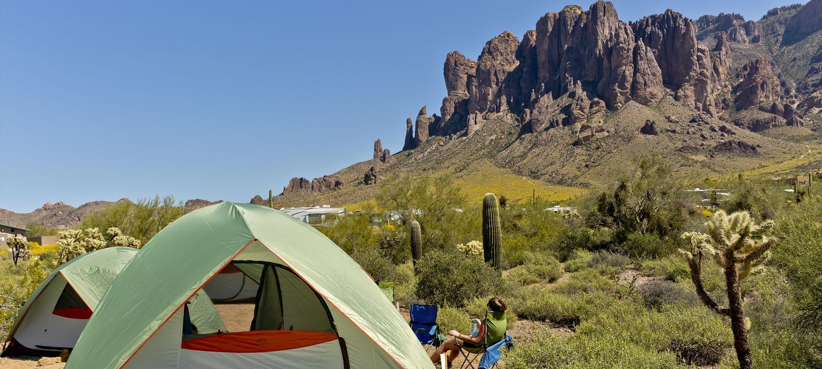 are dogs allowed at lost dutchman state park