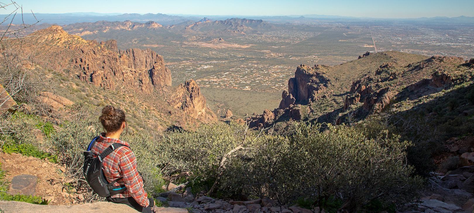 are dogs allowed at lost dutchman state park