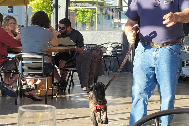 Pet Friendly Coast Fork Brewing & Feed Store