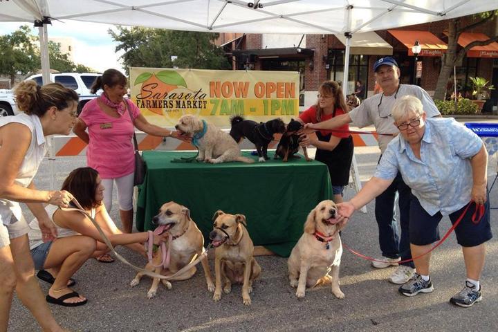 Pet Friendly Sarasota Farmers Market