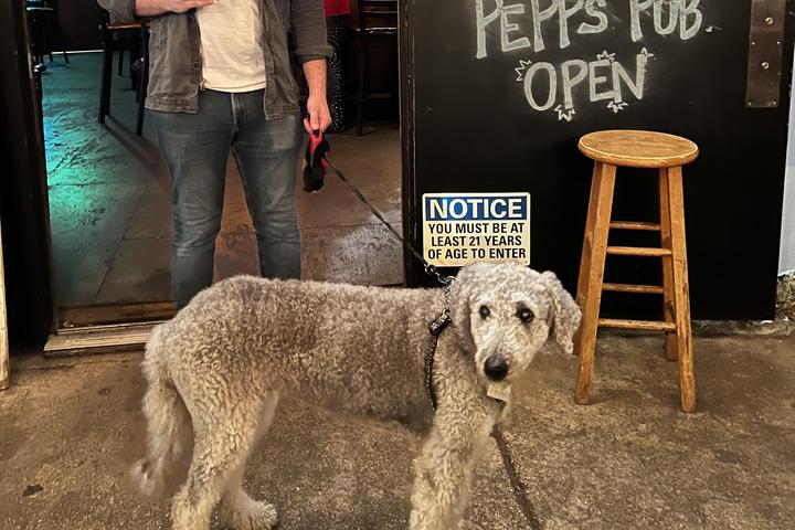Pet Friendly Pepp's Pub
