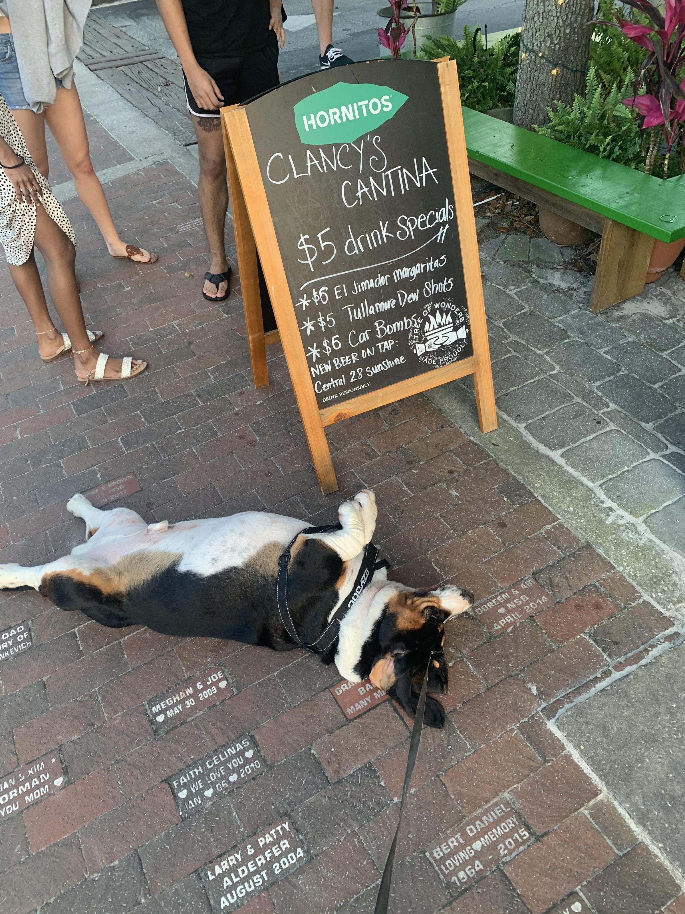 Pet Friendly Clancy's Cantina