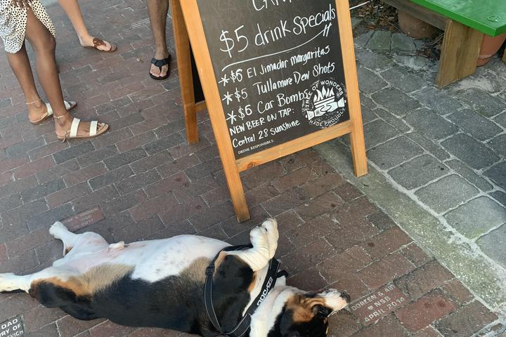Pet Friendly Clancy's Cantina
