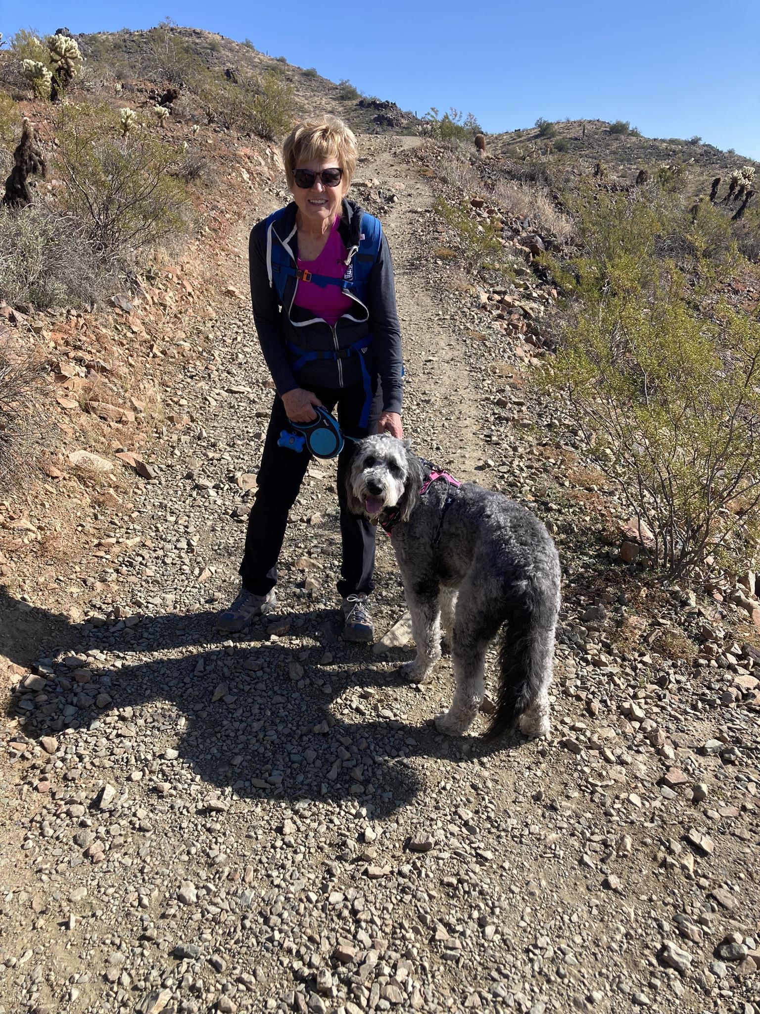 Pet Friendly Desert Vista Trailhead at Sonoran Preserve