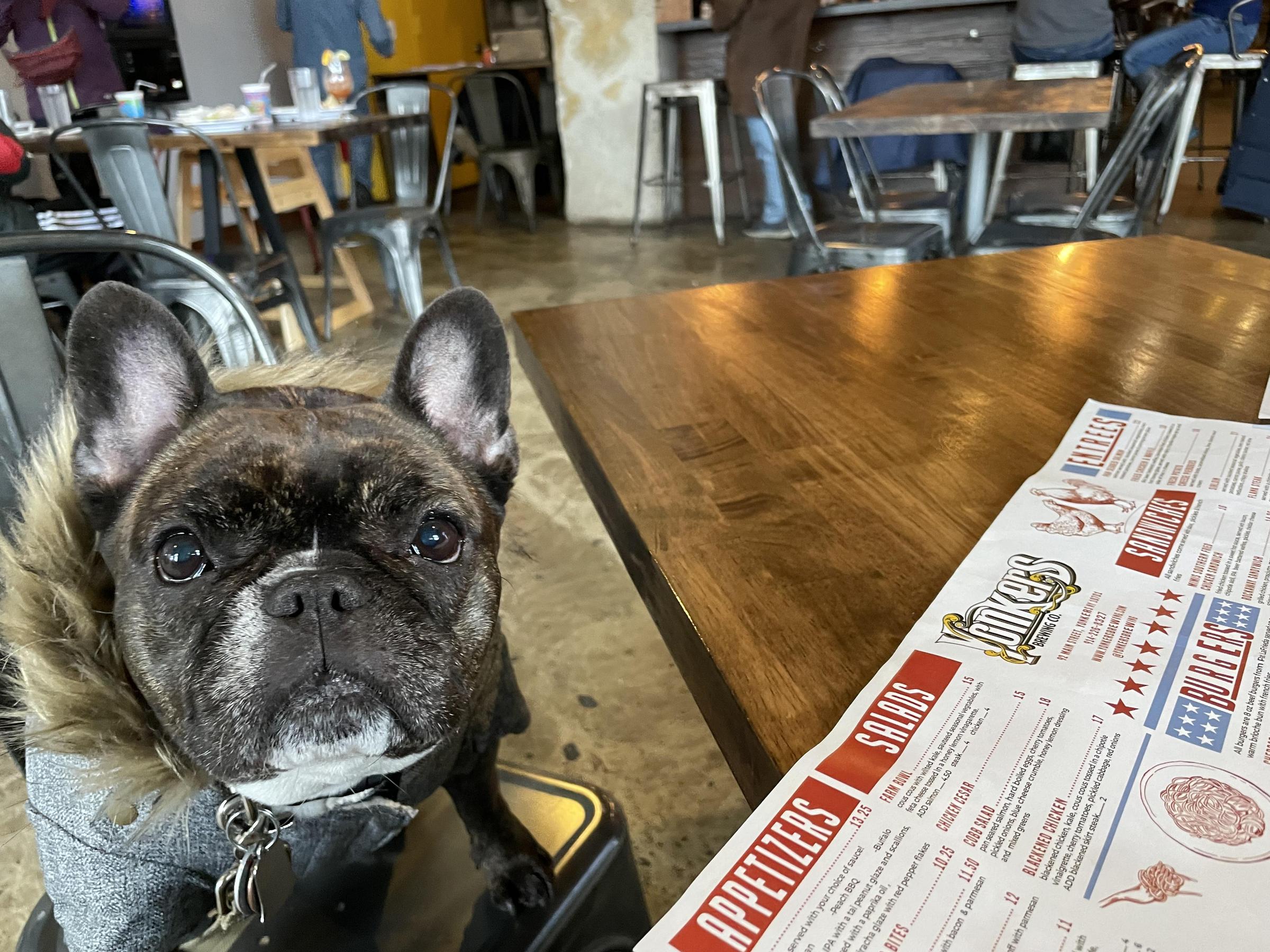 Pet Friendly Yonkers Brewing Company