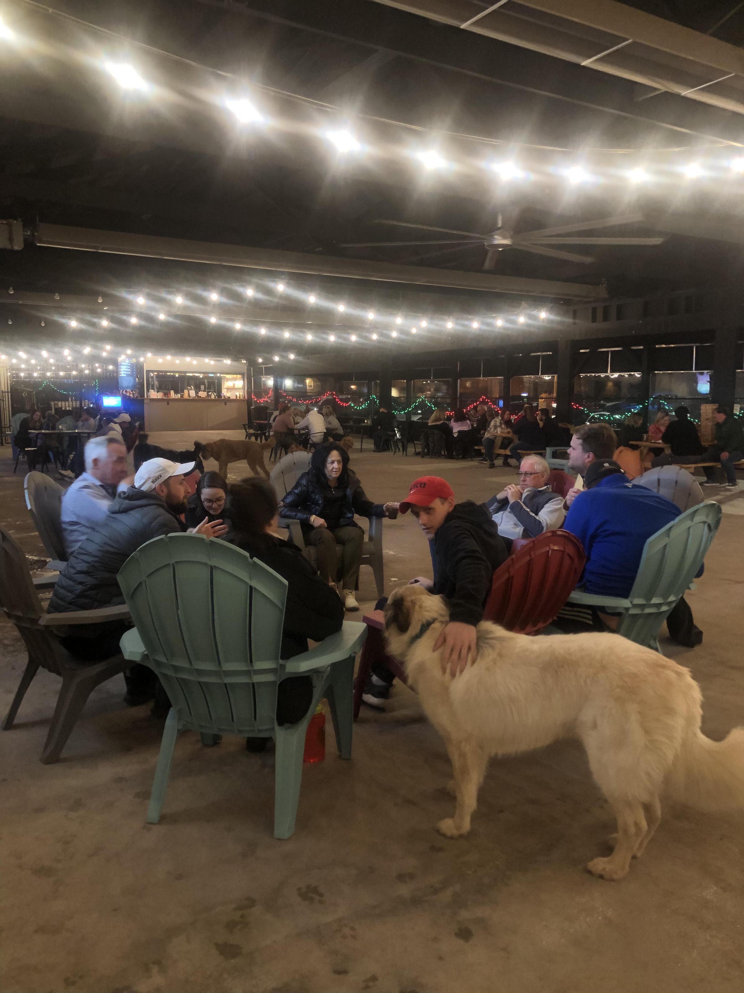 Club K9, a Louisville, KY Dog Bar where people and dogs mingle