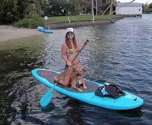 Pet Friendly Paddles Outdoor Rentals Kayak Rentals of Crystal River