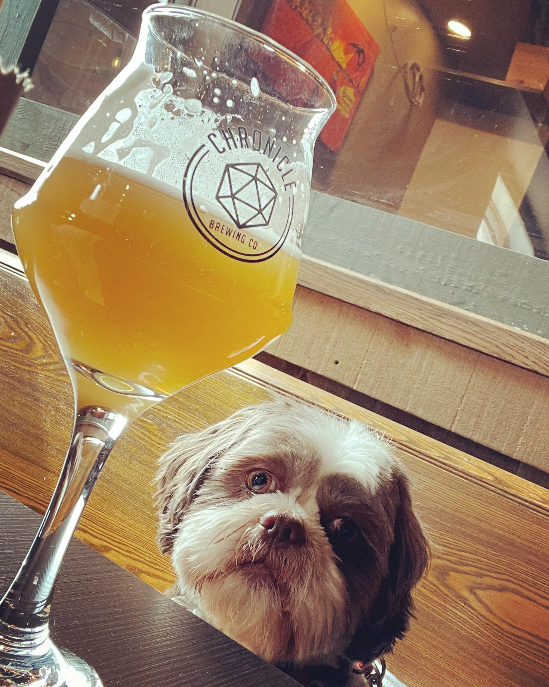 Pet Friendly Chronicle Brewing Company