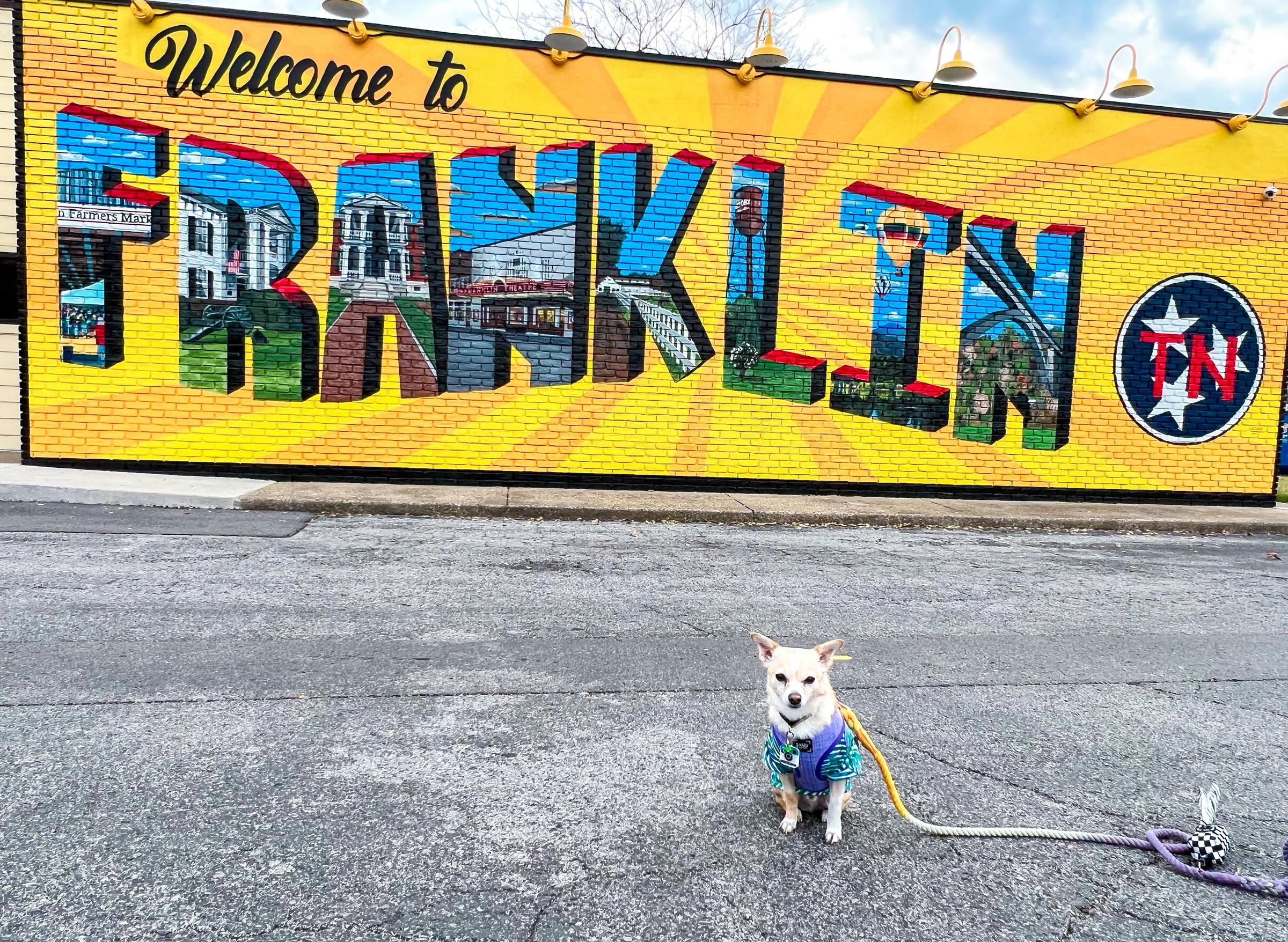 Pet Friendly Murals Around Franklin