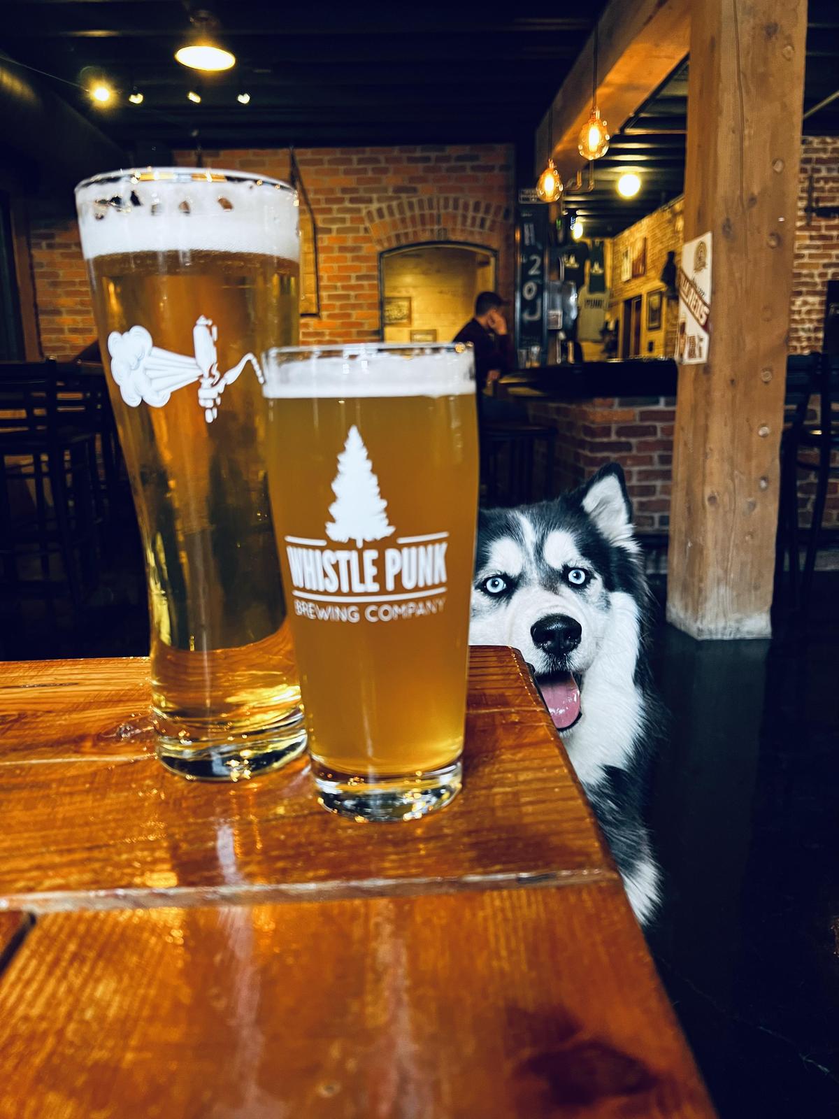Dog Friendly Activities in Spokane, WA BringFido