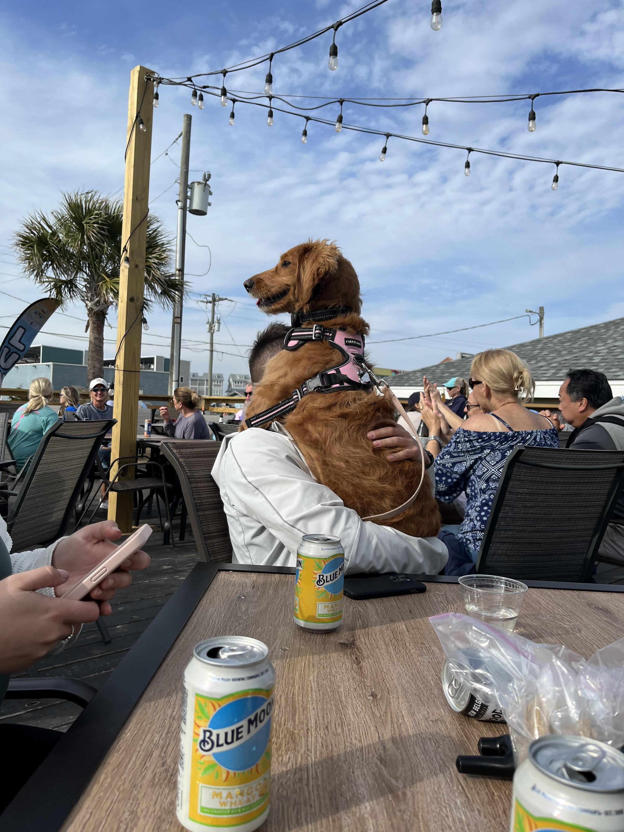 Pet Friendly unWINEd Wine Bar and Beer