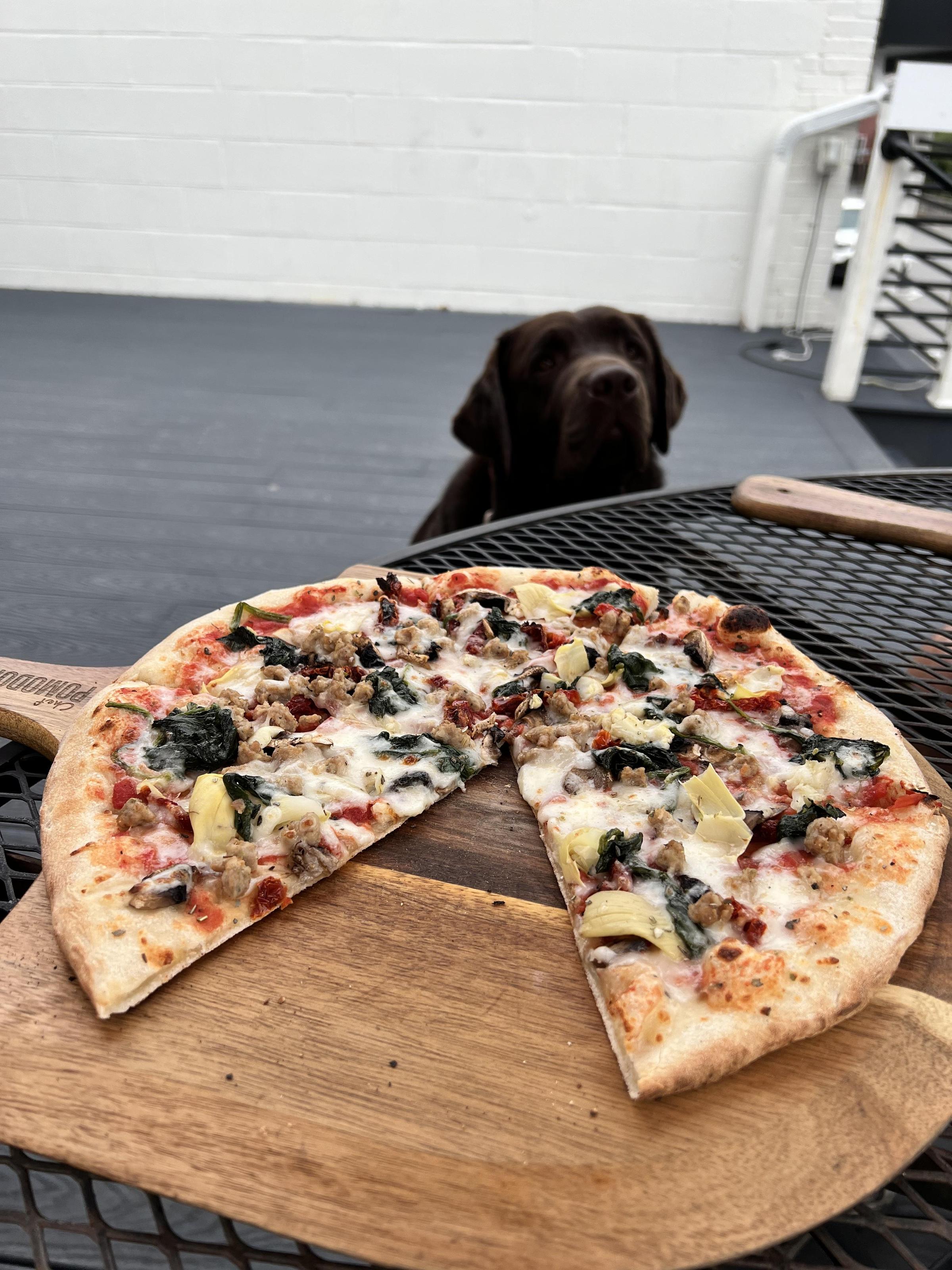 Pet Friendly Salerno Wood Fired Pizza & Taphouse