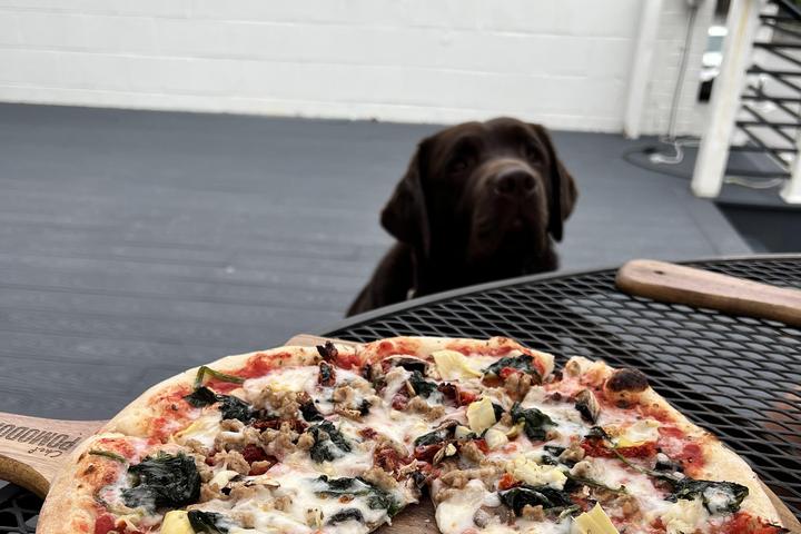 Pet Friendly Salerno Wood Fired Pizza & Taphouse
