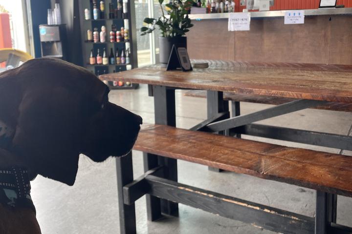 Pet Friendly Matchless Brewing