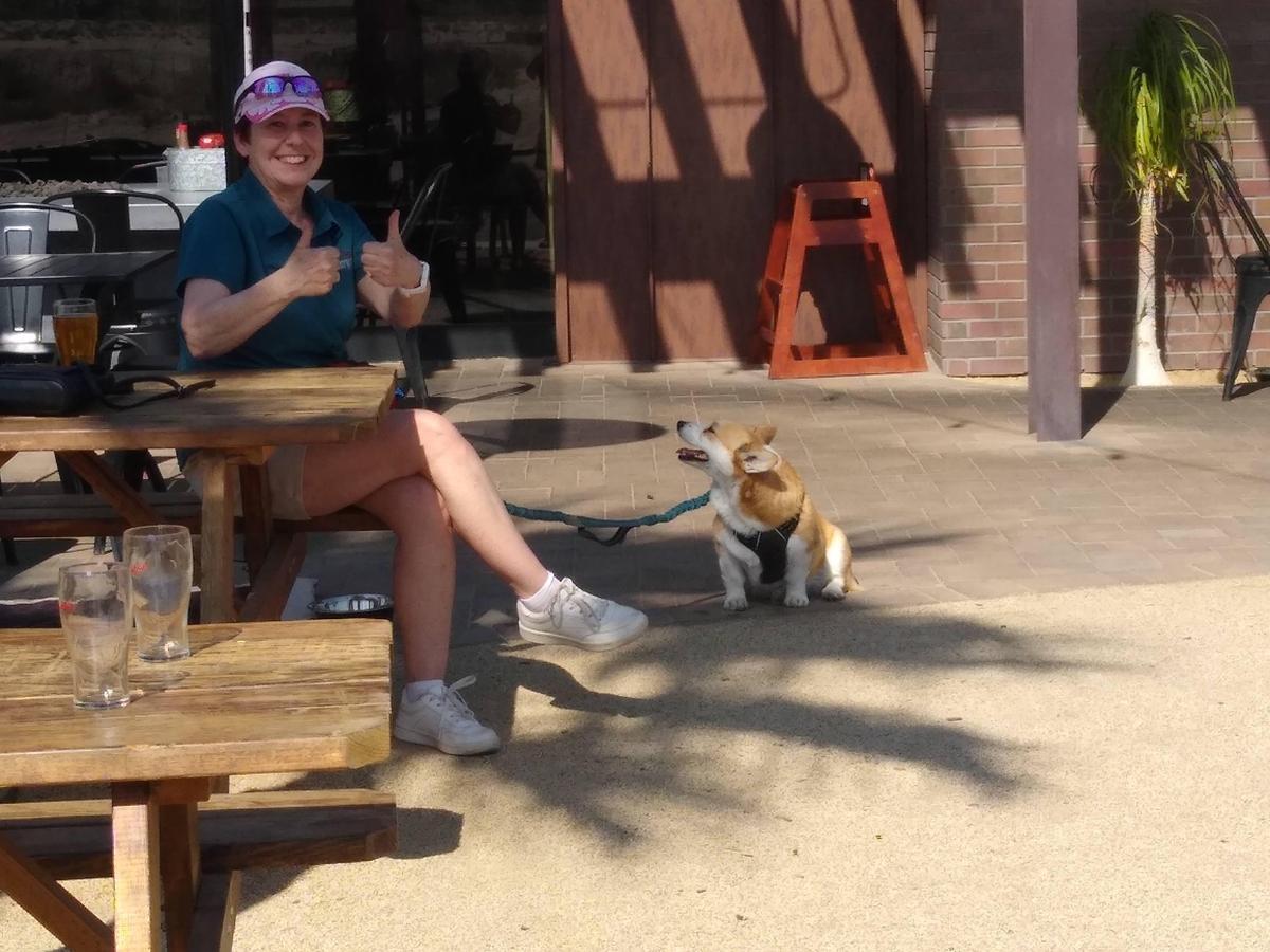 La Quinta Brewing Co. Is Pet Friendly