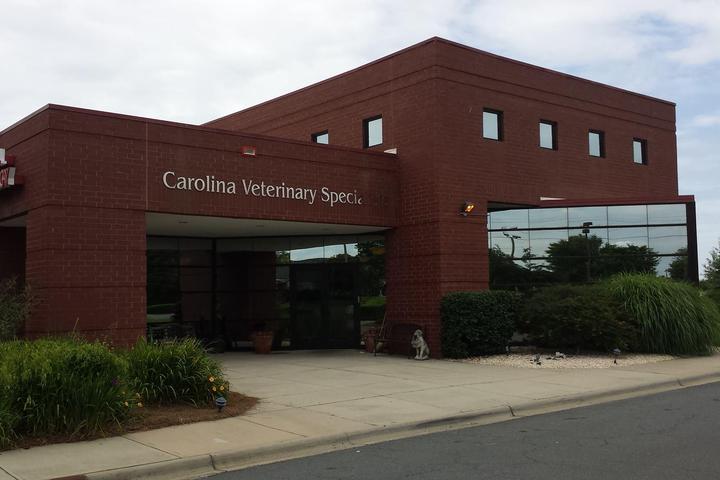 Pet Friendly Carolina Veterinary Specialists