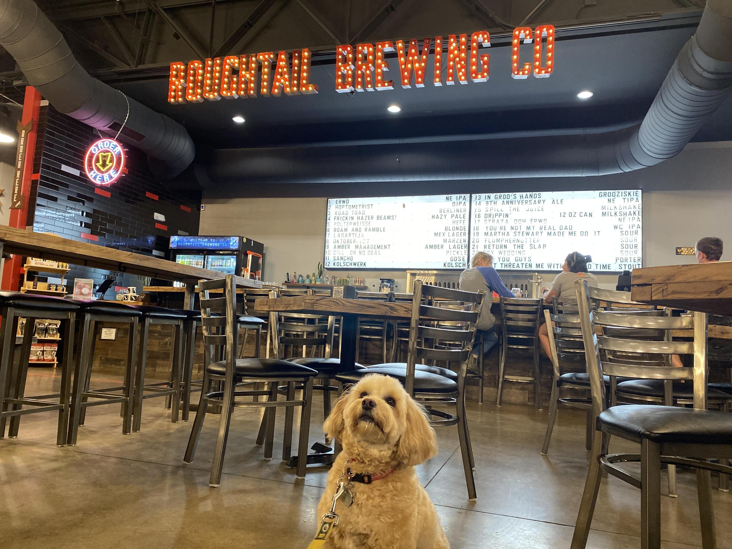 Pet Friendly Roughtail Brewing Company