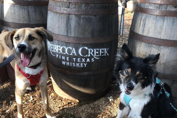 Pet Friendly Rebecca Creek Distillery