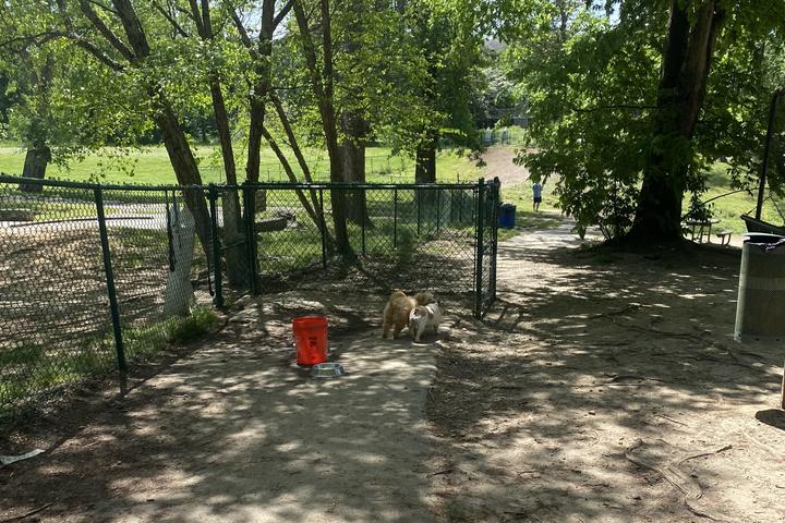 Pet Friendly Brookhaven Dog Park