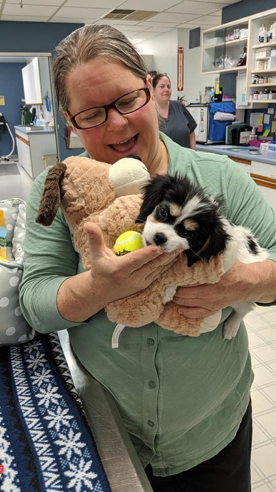 Laurel Park Animal Hospital