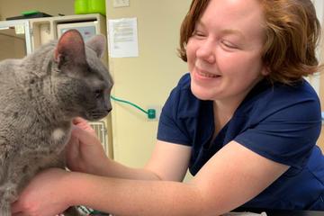 White Oak Veterinary Hospital PC White Oak Veterinary Hospital PC