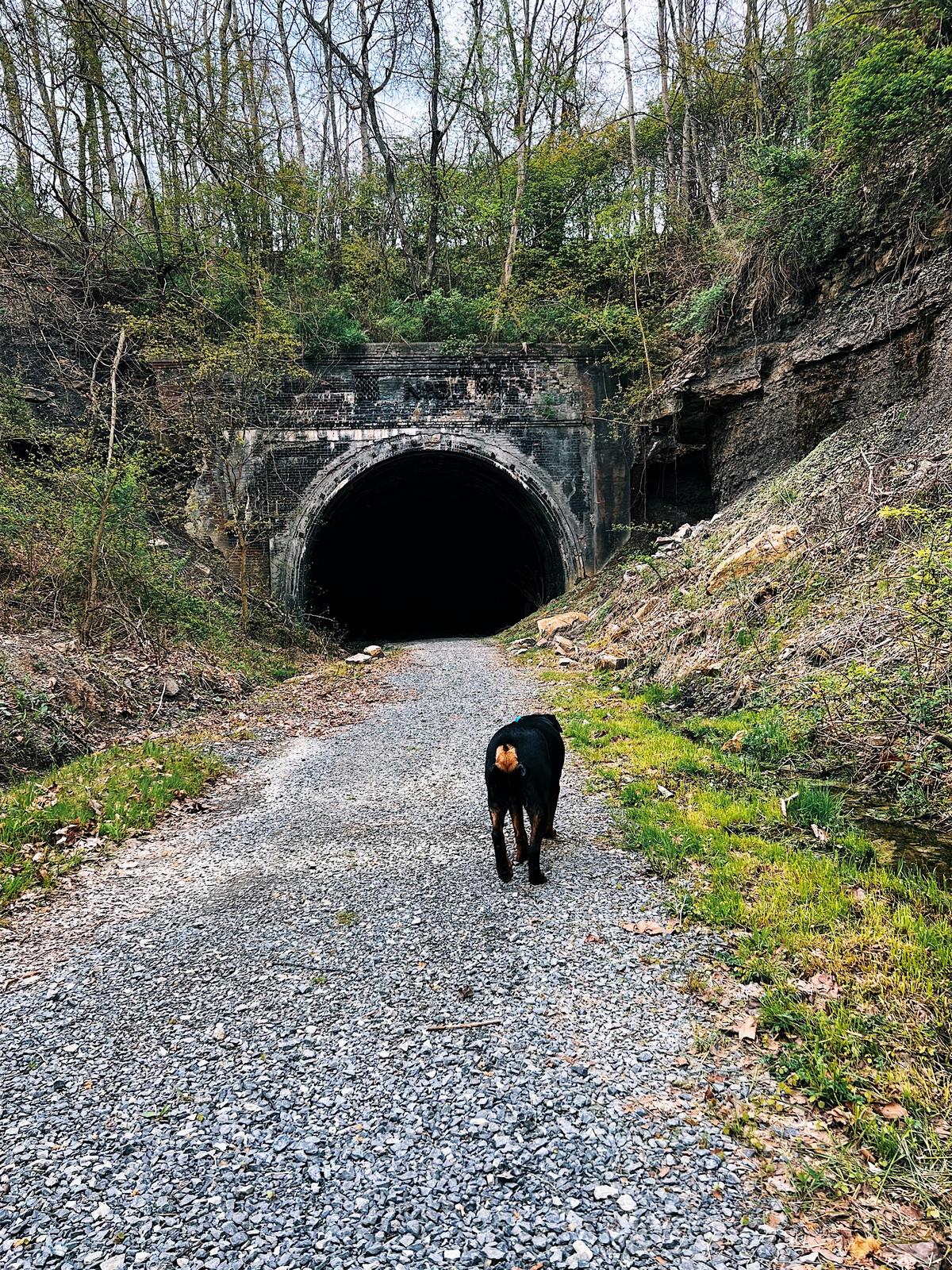 Daily Leader Brookhavenindexxtreme Of Washington County Claysville Pa - k9sfjsj