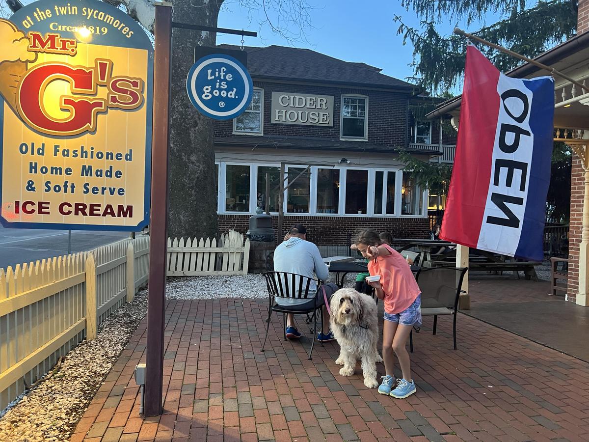 Mr G's Ice Cream Is Pet Friendly