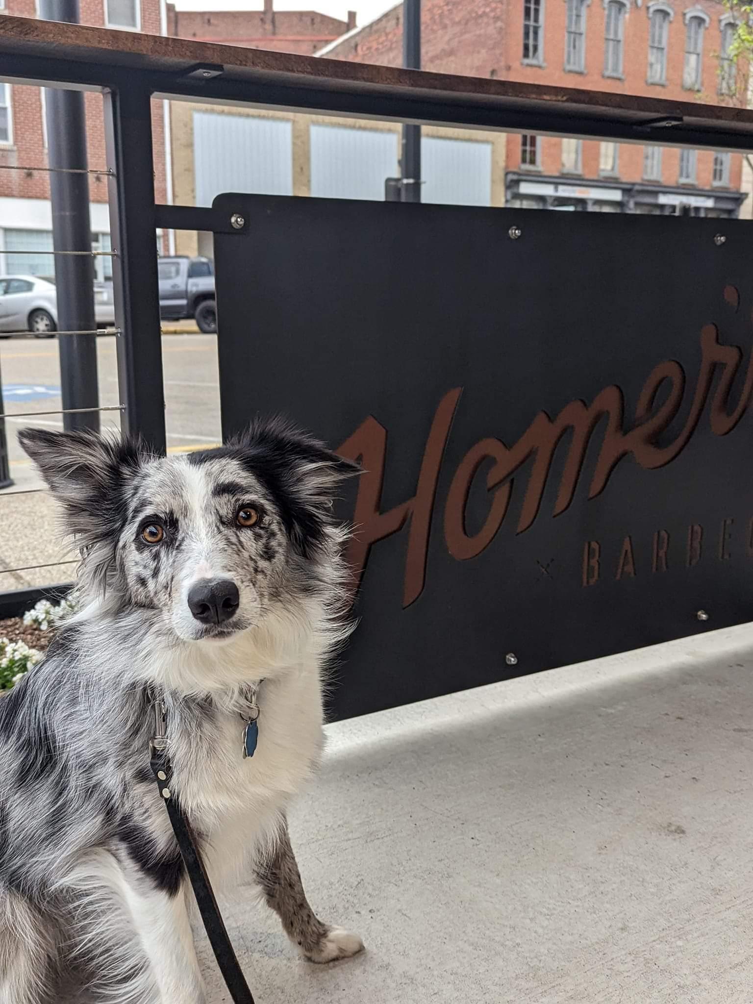 Pet Friendly Homer's Barbecue