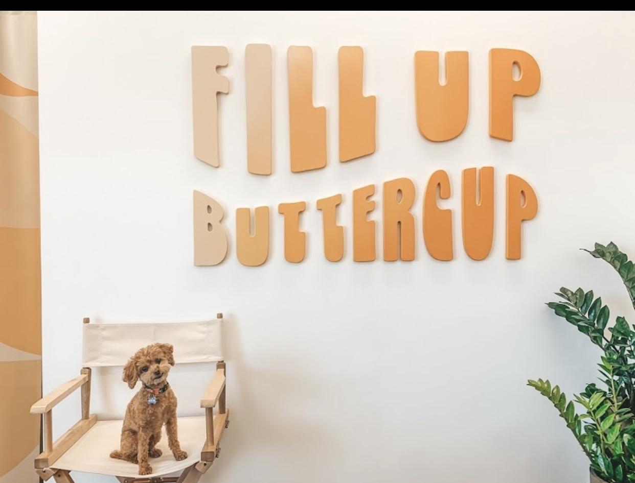 Pet Friendly Fill Up, Buttercup