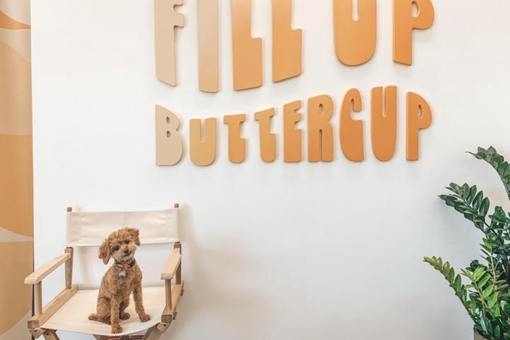 Pet Friendly Fill Up, Buttercup