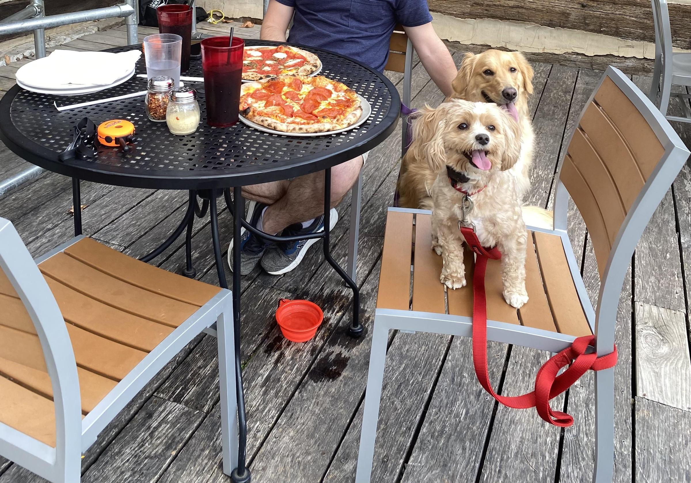 Pet Friendly Hill and Holler Pizza