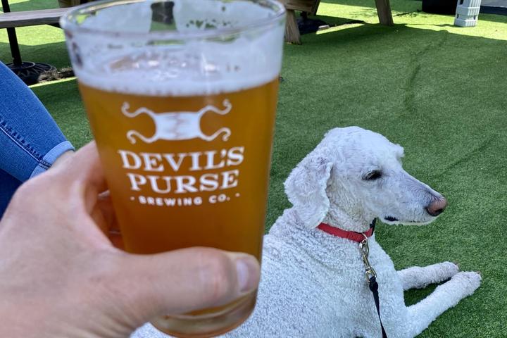 Pet Friendly Devil's Purse Brewing Company