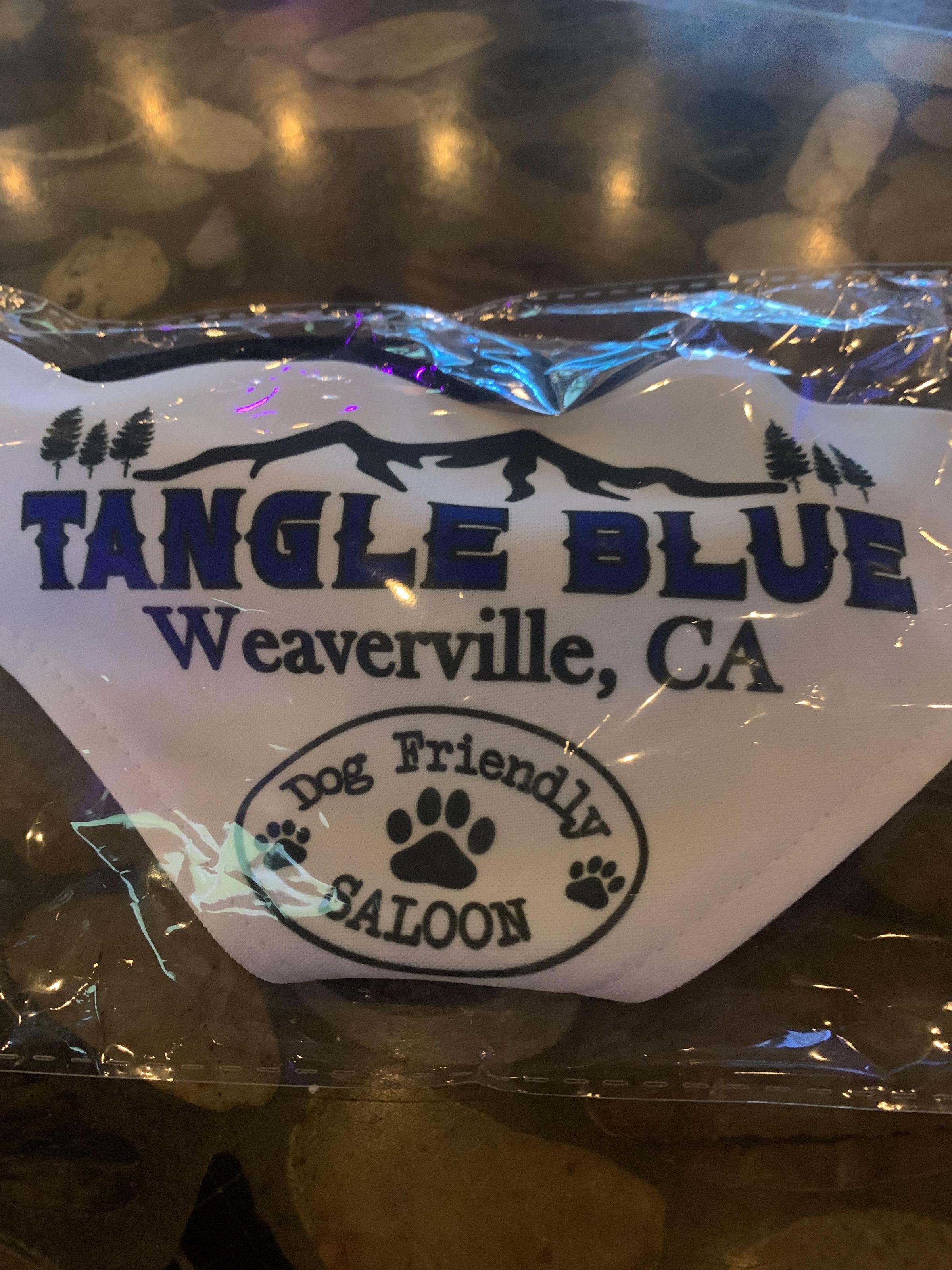 Pet Friendly Tangle Blue Saloon