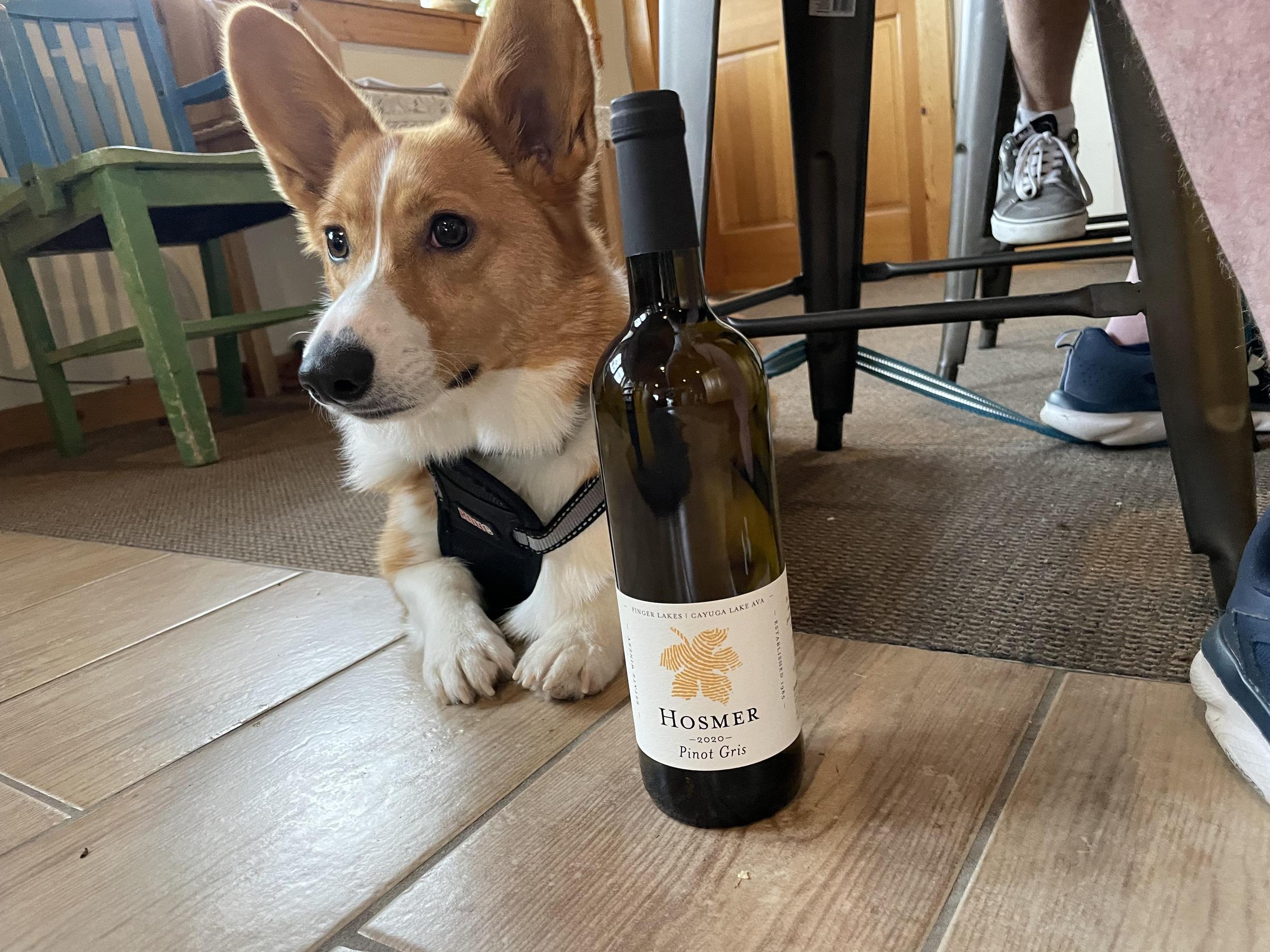 Pet Friendly Hosmer Winery