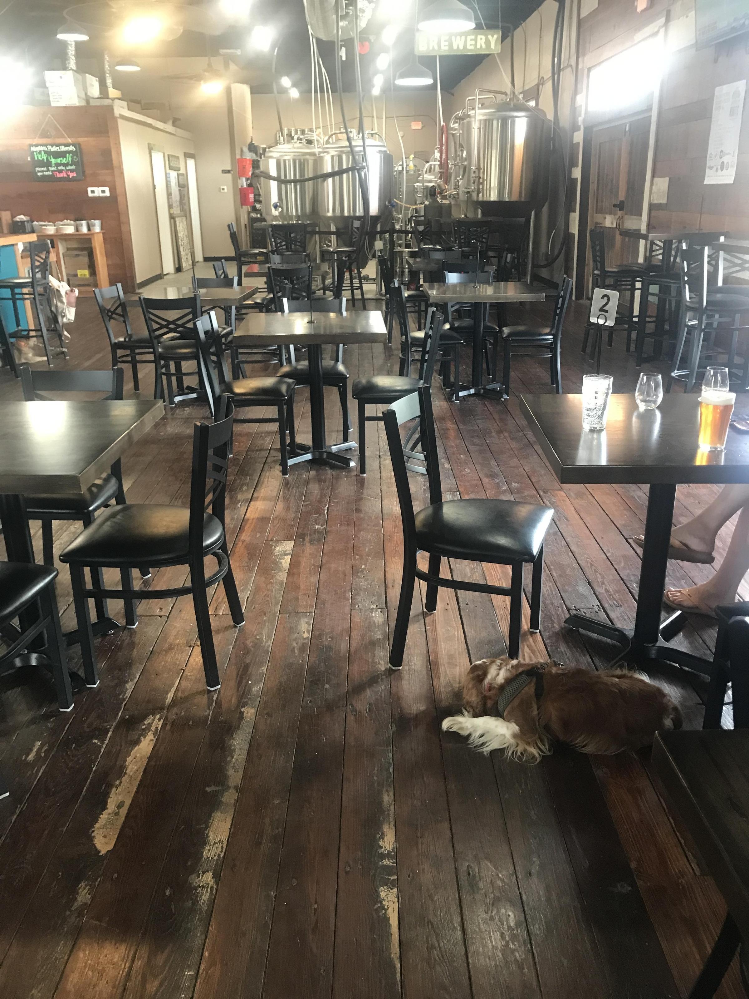 Pet Friendly Southern Roots Brewing Company