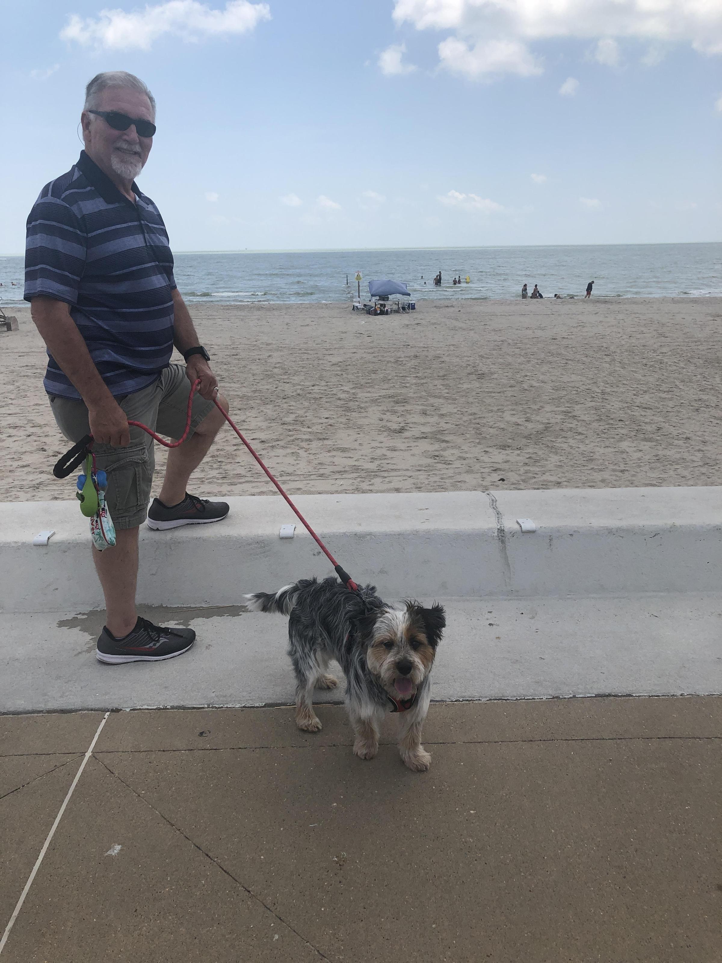 are dogs allowed at the beach in corpus christi texas