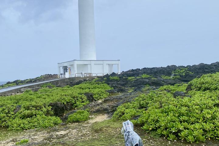 Pet best sale box okinawa