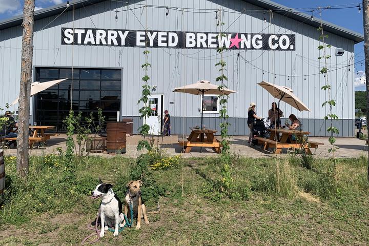 Pet Friendly Giovanni's Pizza at Starry Eyed Brewing
