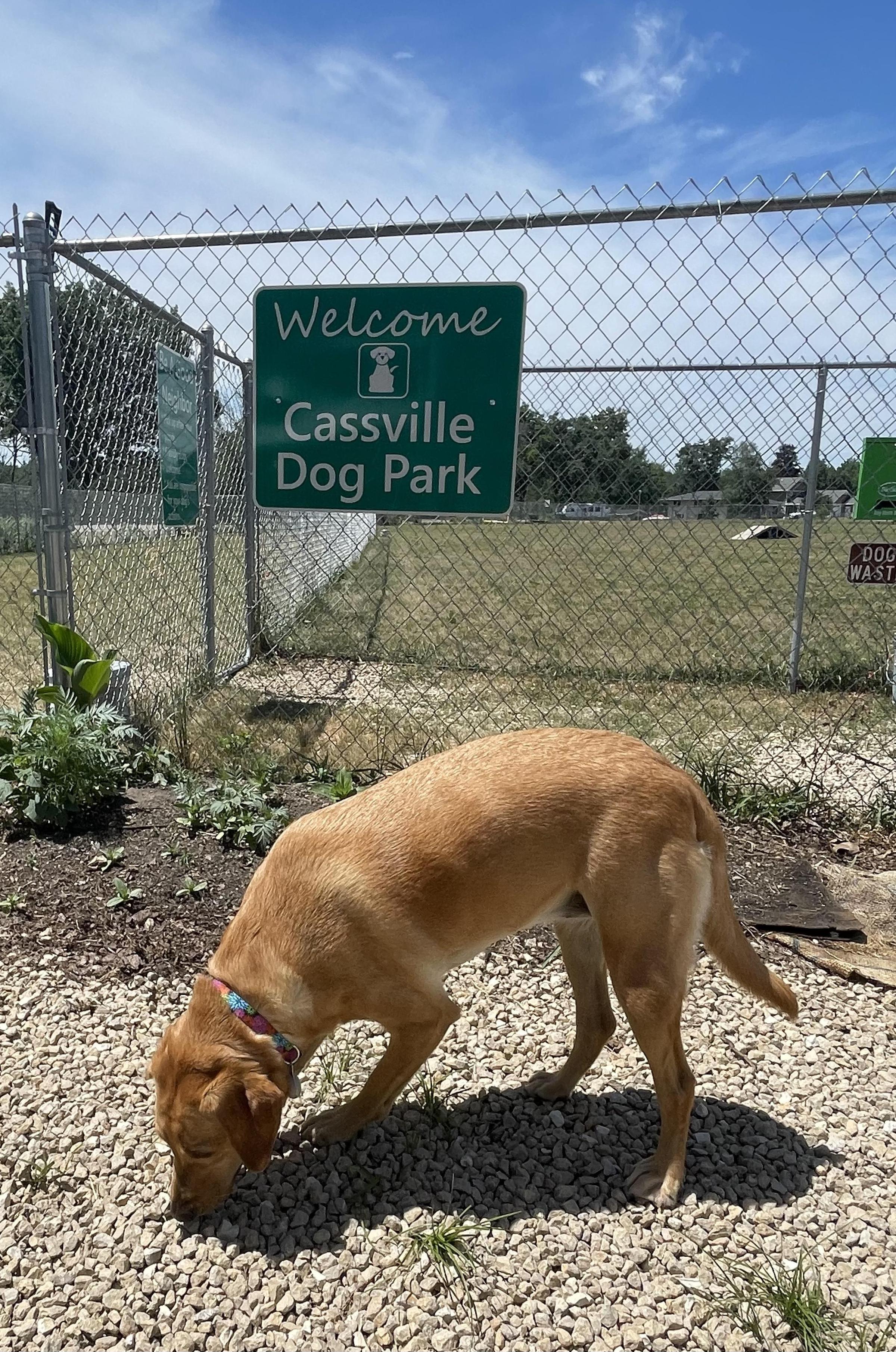 Pet Friendly Cassville Dog Park