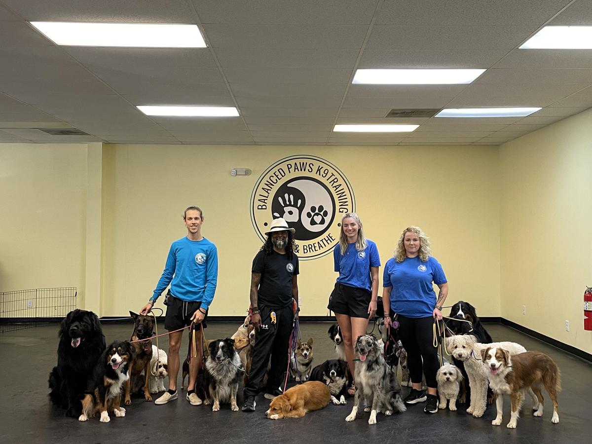 Balanced paws sales k9 training