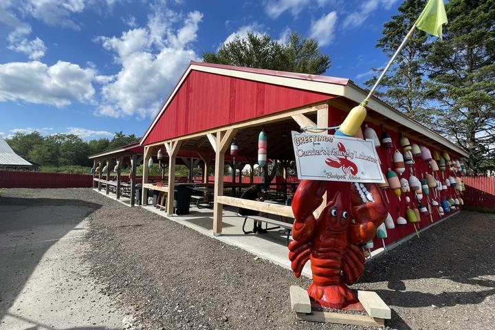 Pet Friendly Carrier's Mainely Lobster