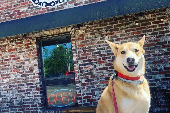Pet Friendly Columbus House Brewery and Tap Room