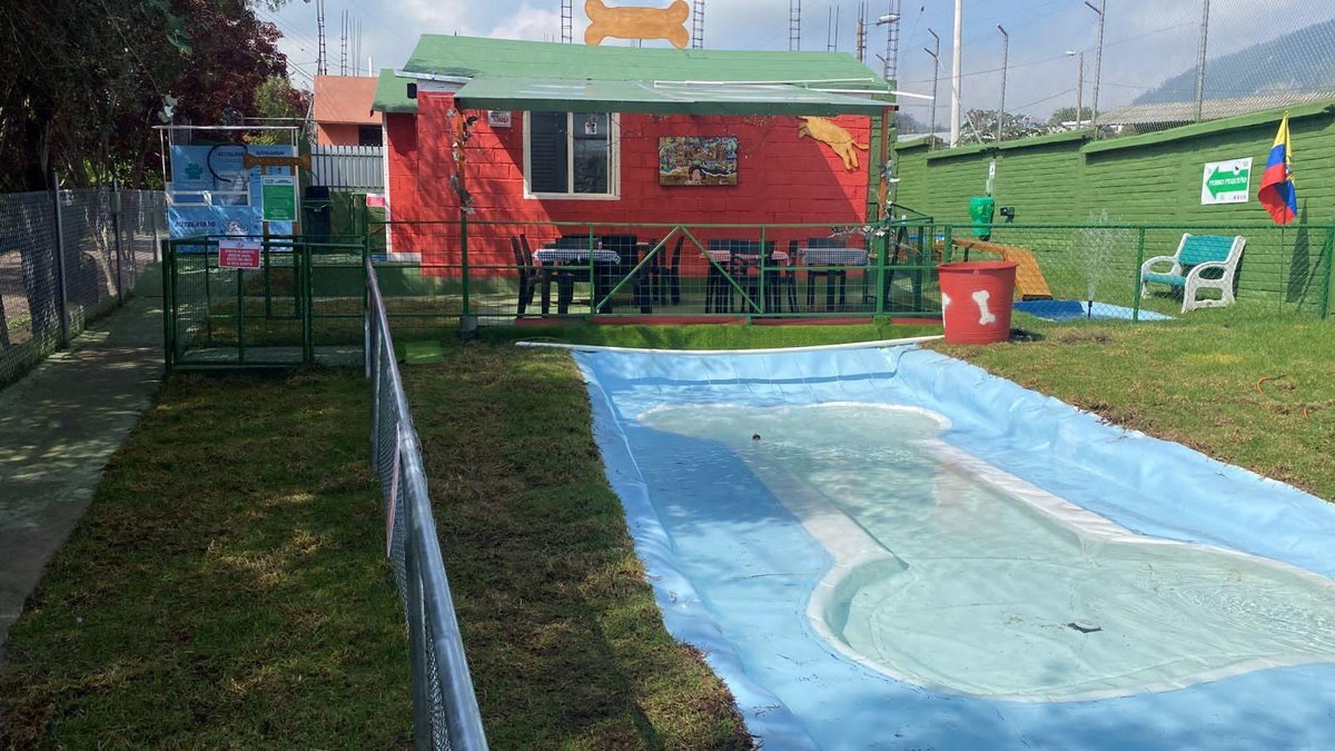 The bone-shaped pool at Dog Park Cumbaya in Quito, EC.