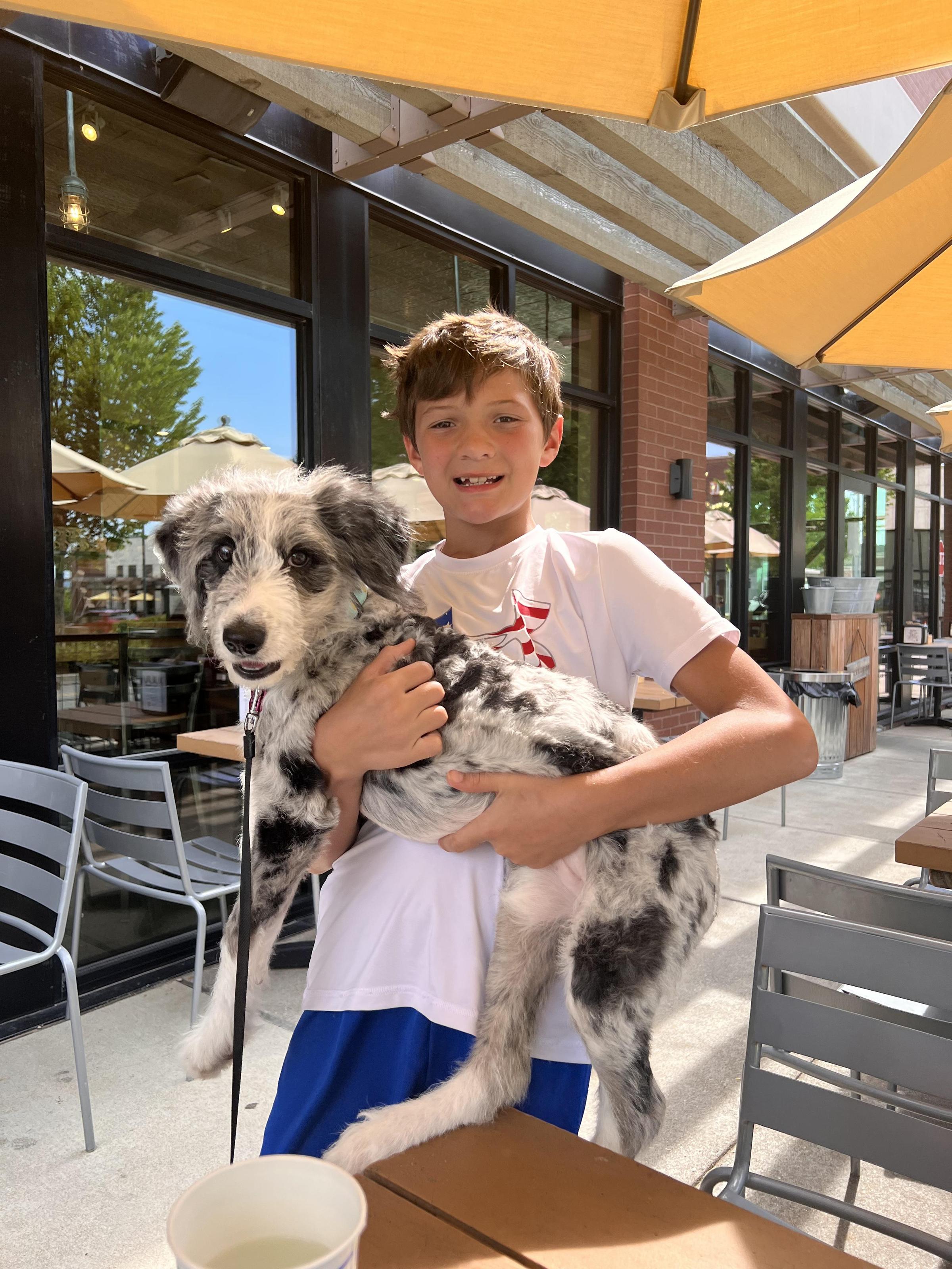 Pet Friendly Maple Street Biscuit Company - Brentwood