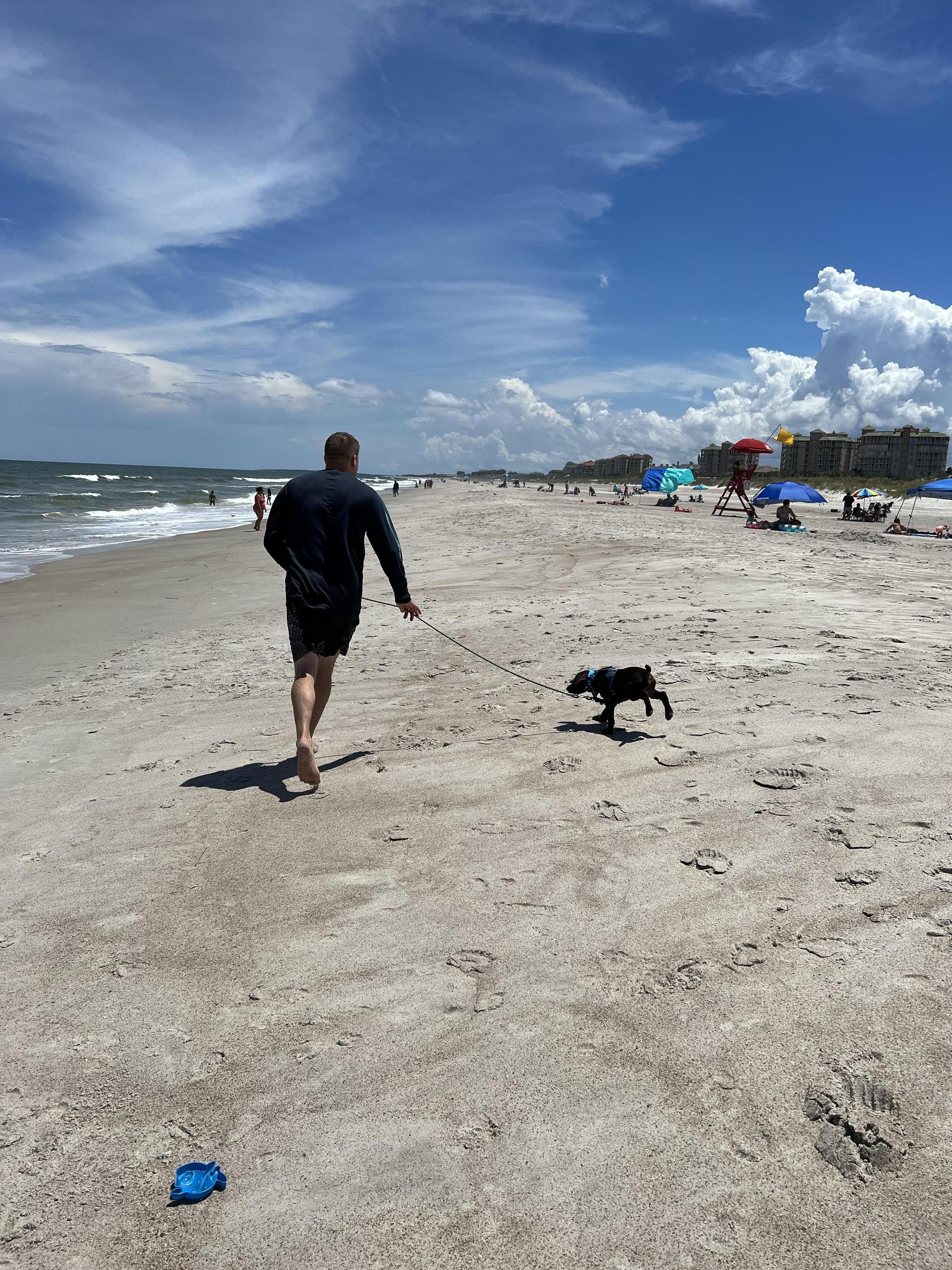 are dogs allowed fernandina beach