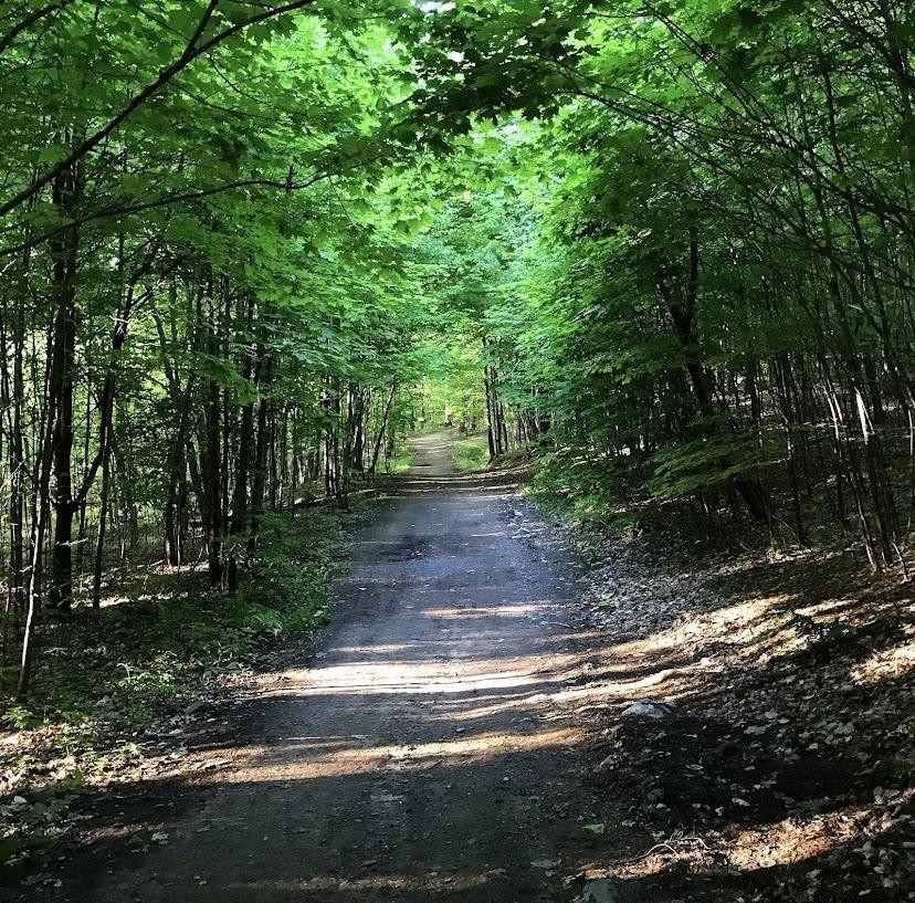 Parc Du Mont Arthabaska