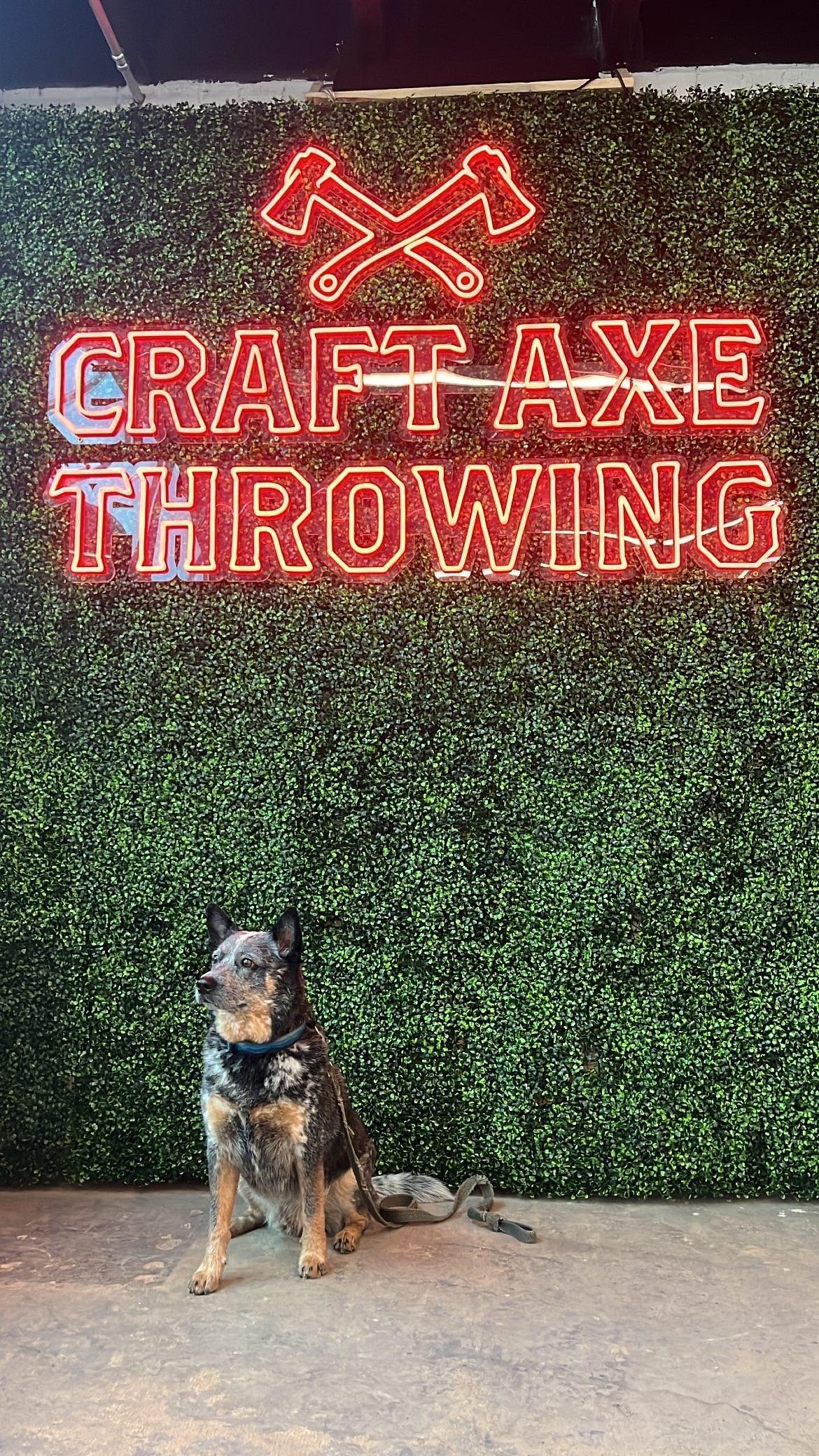 Pet Friendly Craft Axe Throwing