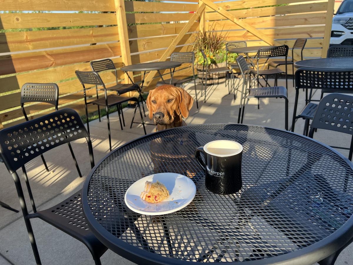 Dog Friendly Coffee Shops in St Cloud MN BringFido