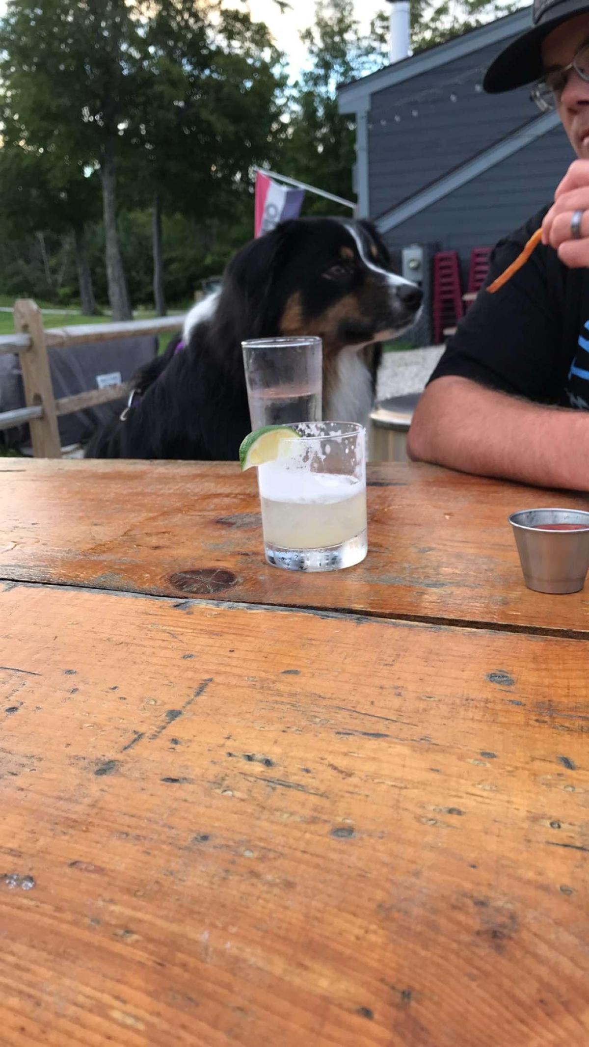 Killington Distillery Is Pet Friendly