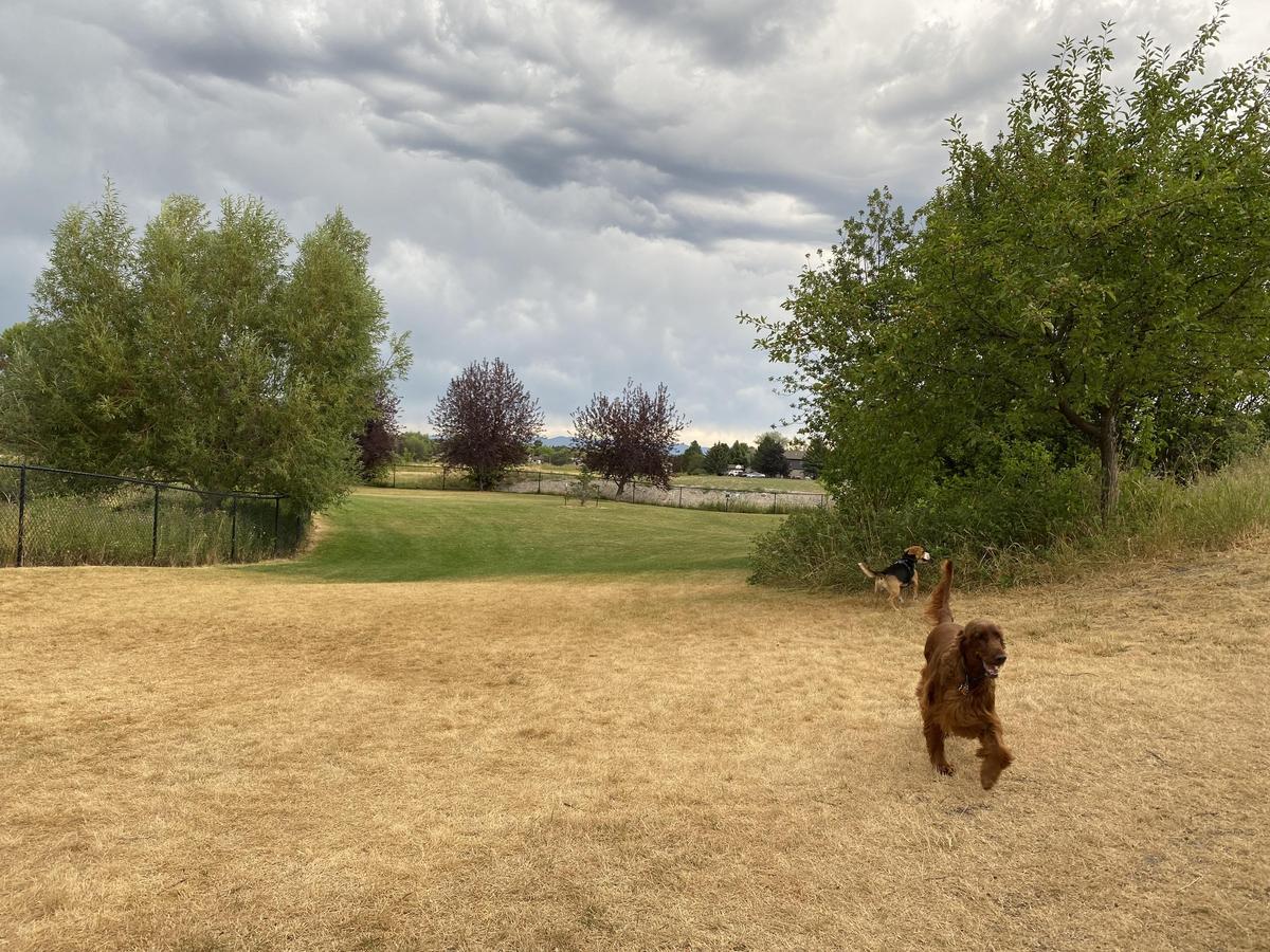 Off Leash Dog Parks in Kalispell MT BringFido